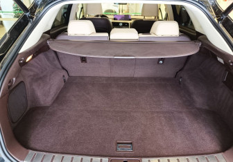 Подержанный автомобиль Lexus RX 2019 года (8 фото)