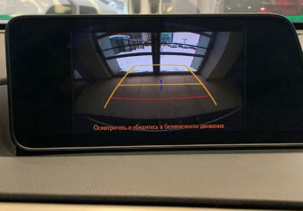 Подержанный автомобиль Lexus RX 2018 года (17 фото)