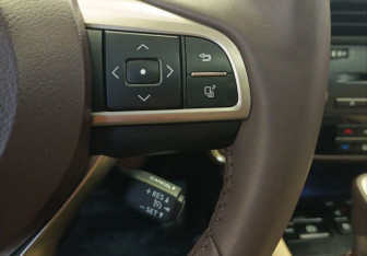 Подержанный автомобиль Lexus RX 2019 года (27 фото)