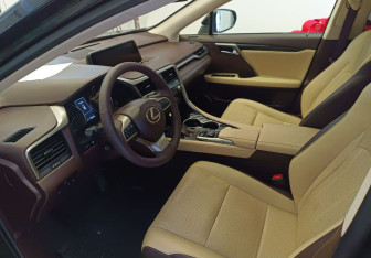 Подержанный автомобиль Lexus RX 2019 года (13 фото)