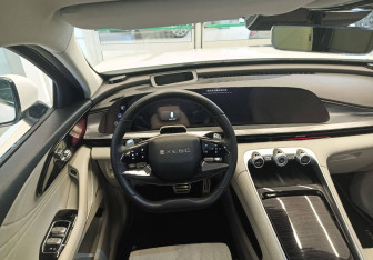 Подержанный автомобиль Exeed RX 2023 года (26 фото)