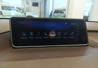 Подержанный автомобиль Lexus RX 2019 года (25 фото)